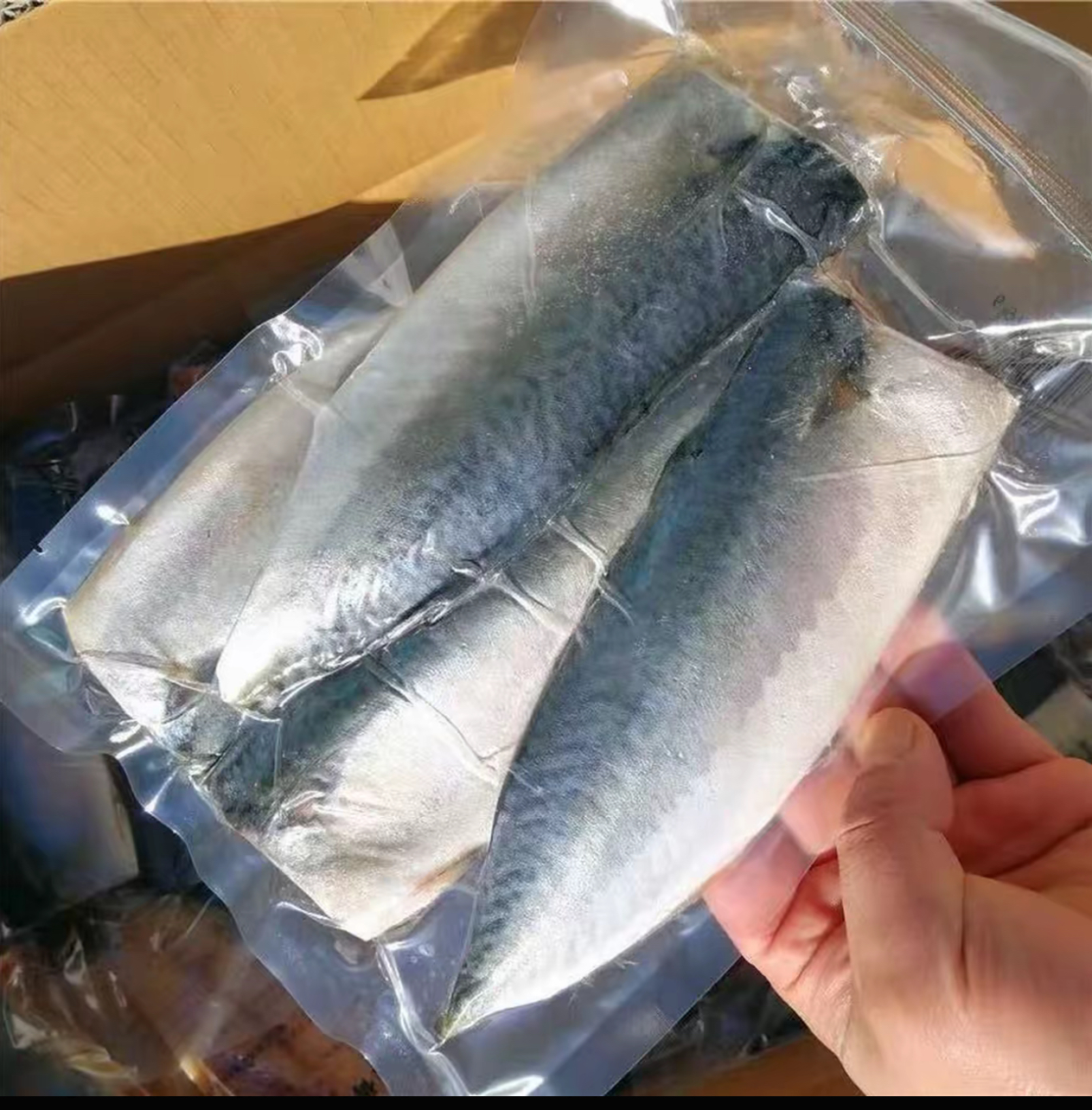 【精品】免洗无骨盐腌鲐鲅鱼片香煎美味鲐鱼新鲜冷冻每包4-5片顺丰
