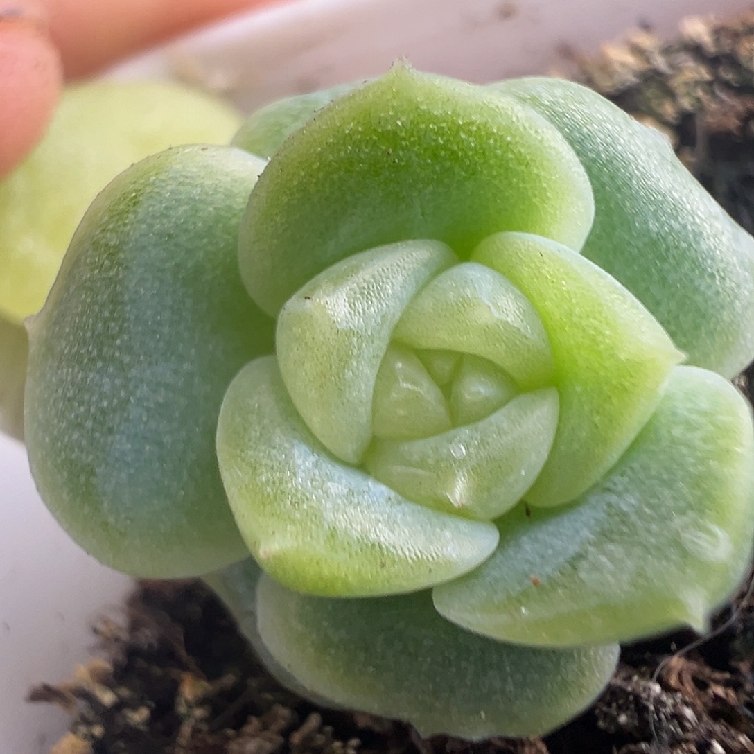 开播福利 暴富财富