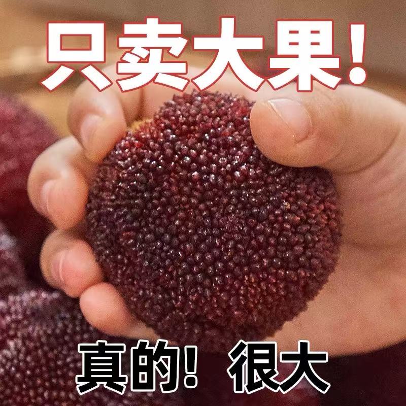 【9A东魁买3斤送3斤】正宗仙居东魁杨梅顺丰次日达蓝装礼盒装浙江省