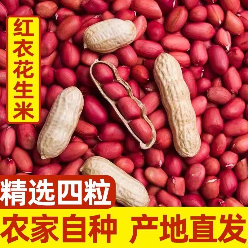 新货红皮花生米农家自种四粒红花生红衣花生米花生仁不带壳