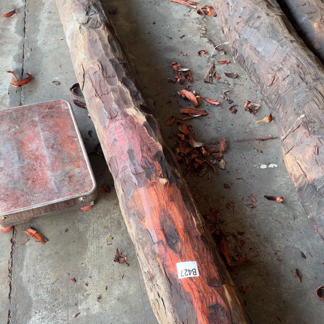 一物一拍血檀编码b427