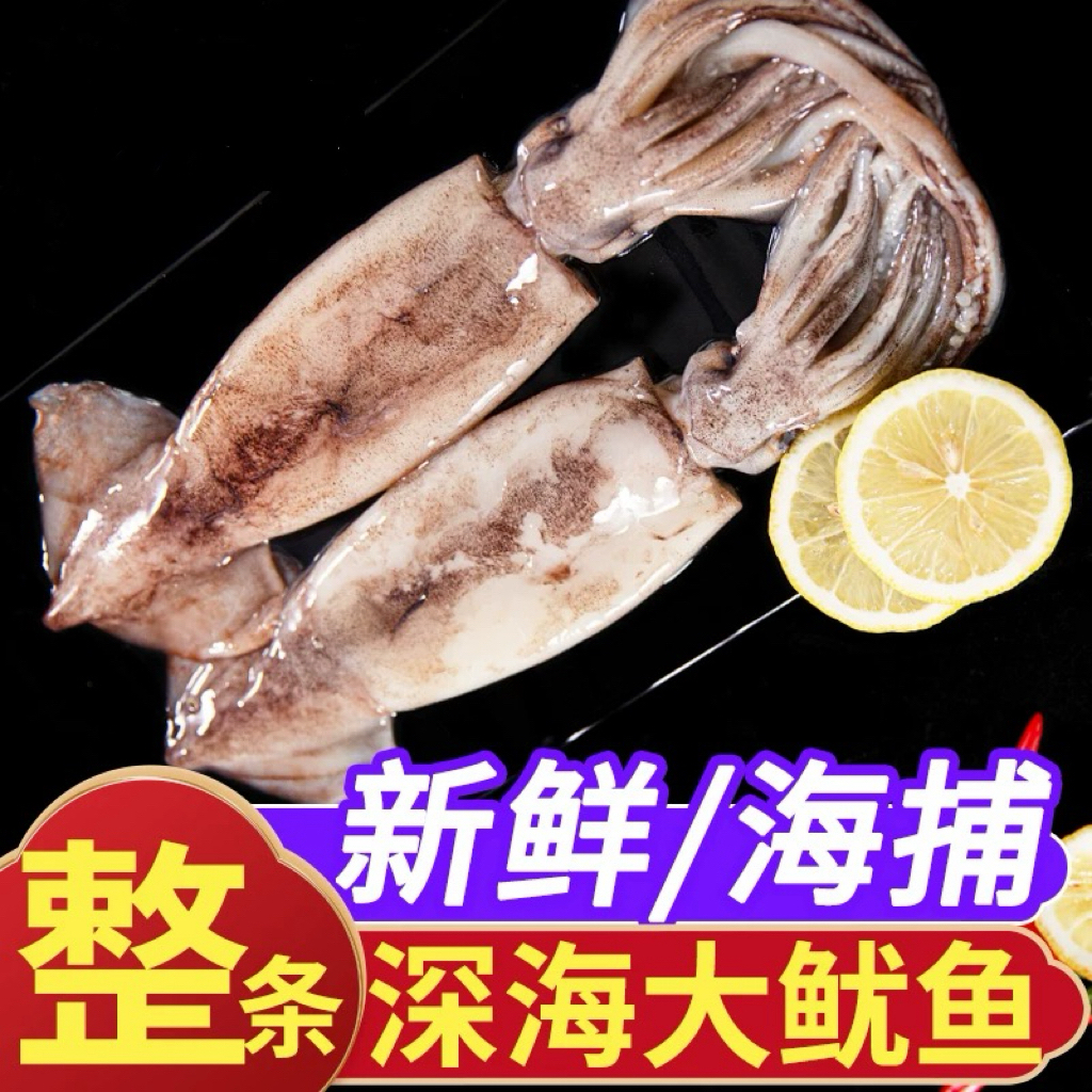 [原浆大鱿鱼到手5大斤]新鲜海捕速冻(约3-5条)