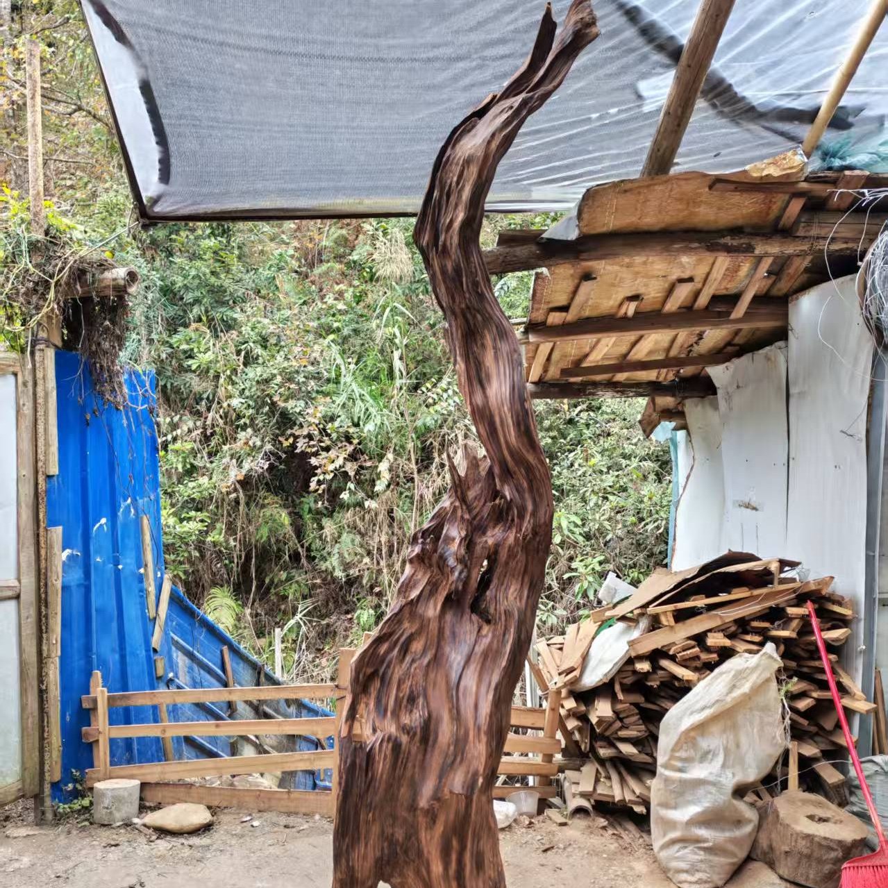 广西土沉土柏棵老料原木原香酒店办公室家居摆件