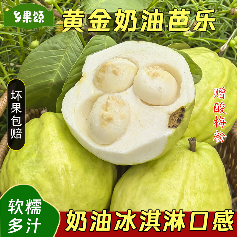 正宗广西白心奶油芭乐软糯香甜当季水果红心芭乐低糖鸡屎果番石榴