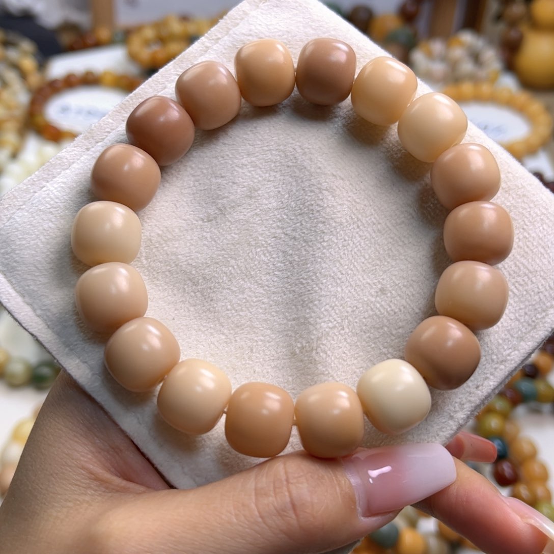 菩提根/象牙果手串干磨粉