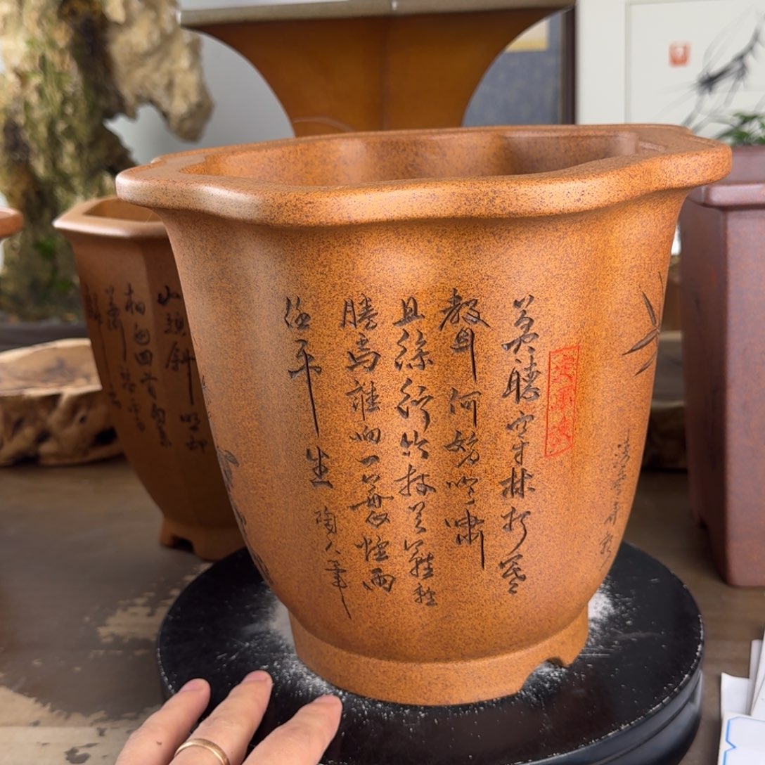 光***叔紫砂花盆紫砂花盆