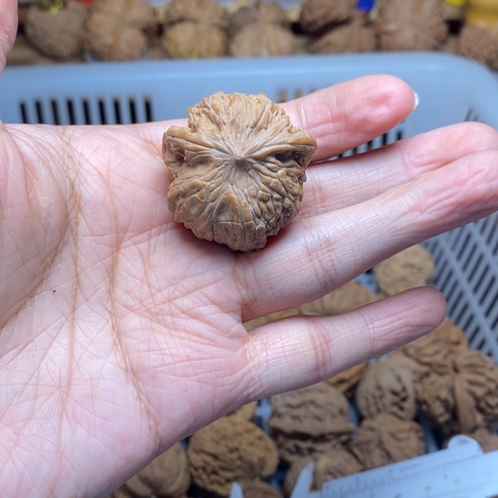飞***觉把件文玩核桃文玩