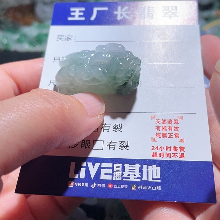 翡翠未镶嵌颈饰天