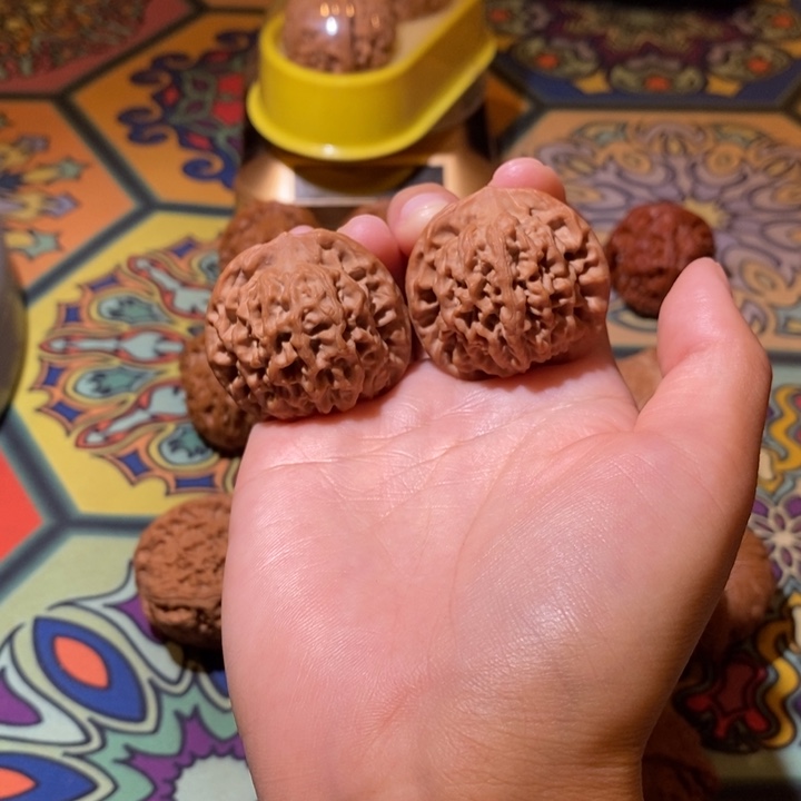 36.5全品秦闷毕业毕业