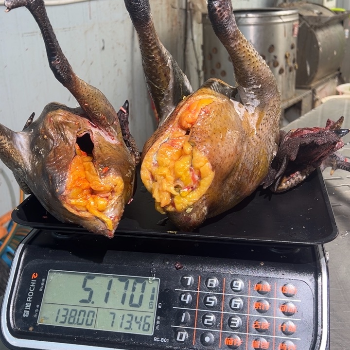 一号公鸡➕母鸡食用农产品岩*
