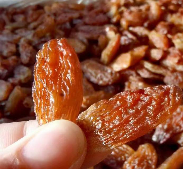 新疆吐鲁番红香妃葡萄干无籽大颗粒干净即食特产