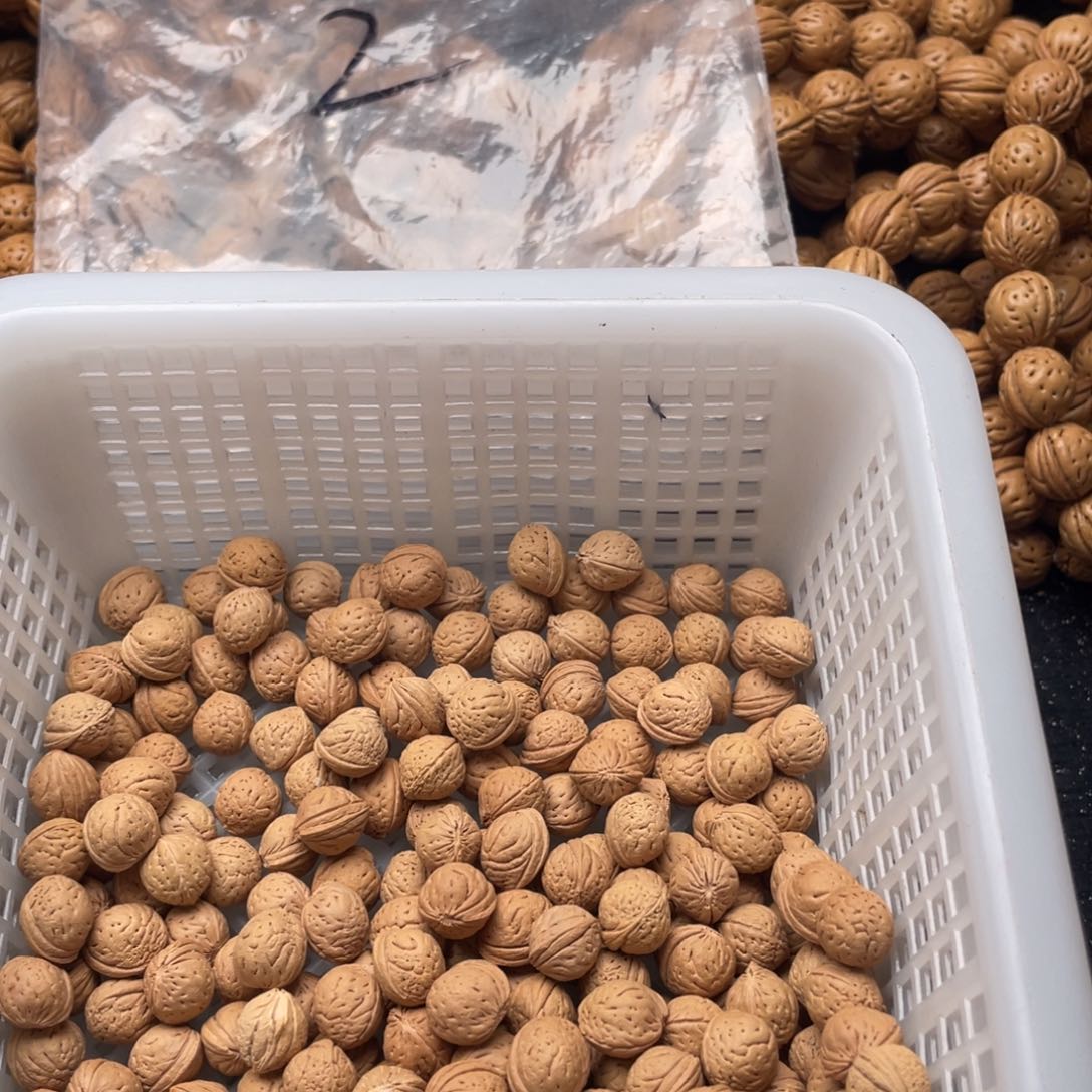 【闪购商品】汐*。散子批发120