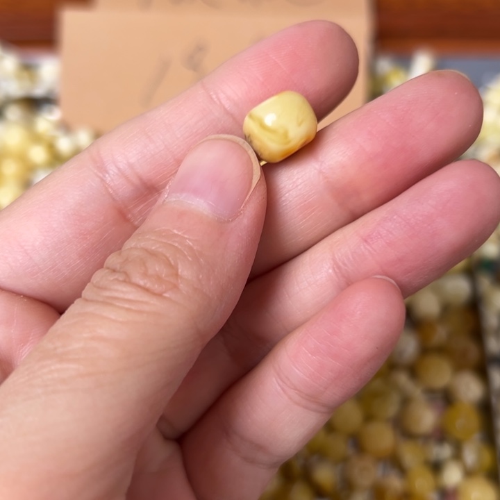 蜜蜡未镶嵌裸石10.6mm一个