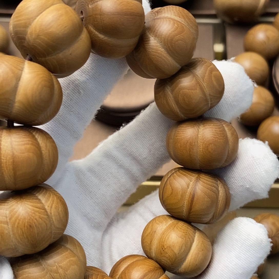 用***6六道木山西五台山