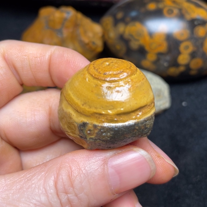 石材九眼页岩钱币石原石104