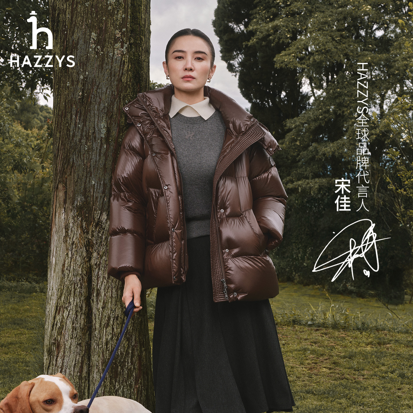 【宋佳商场同款】HAZZYS哈吉斯女装休闲短袖羊绒衫百搭打底圆领毛衣