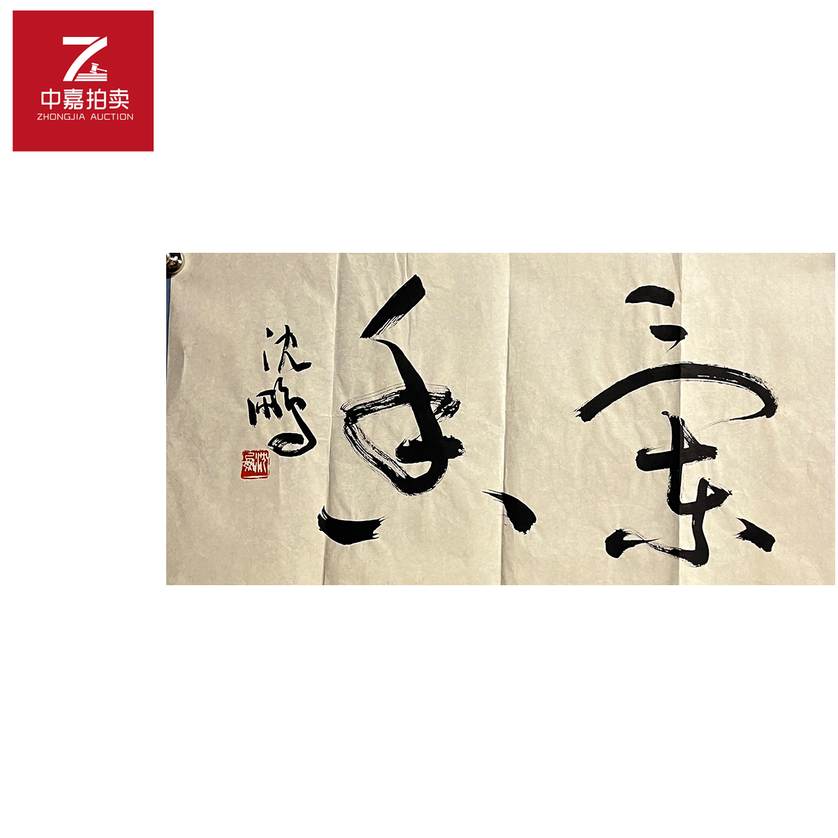 沈鹏书法软片兰35x68