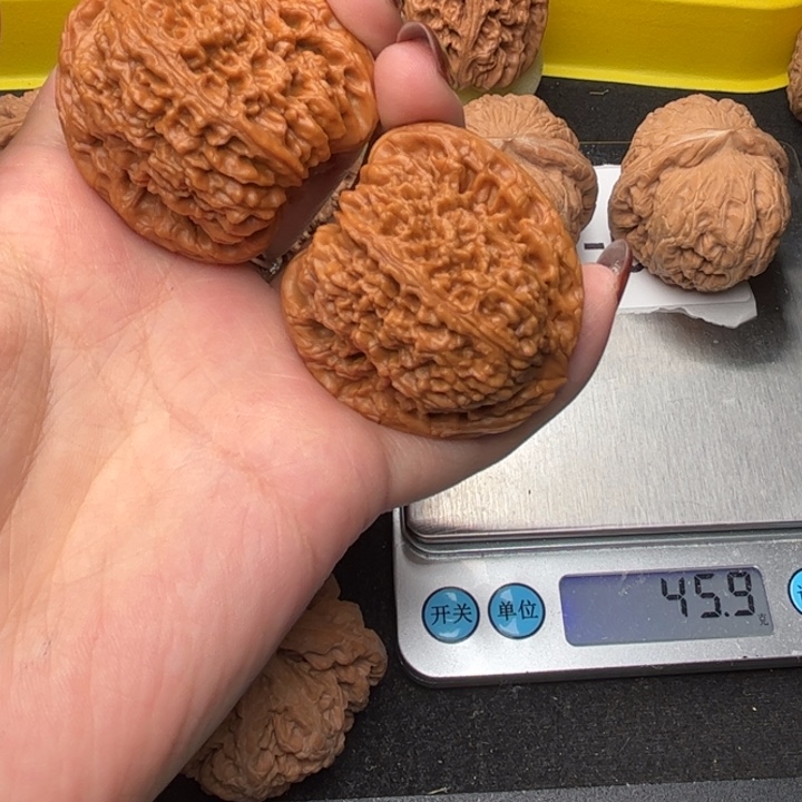 核桃43全品南疆6010
