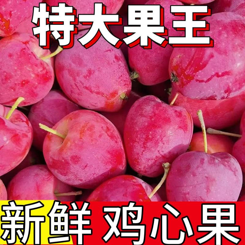 【特大果王】东北鸡心果锦绣海棠酸甜可口脆甜多汁应季新鲜水果