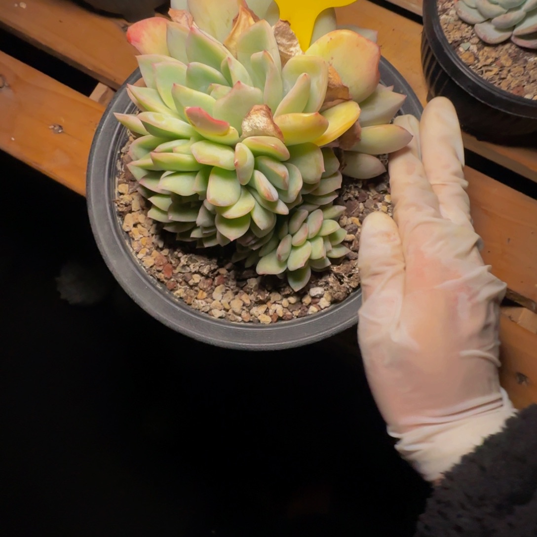 e e e e e e e e e 21