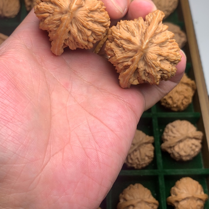 Z***核桃手串/手链46四座楼