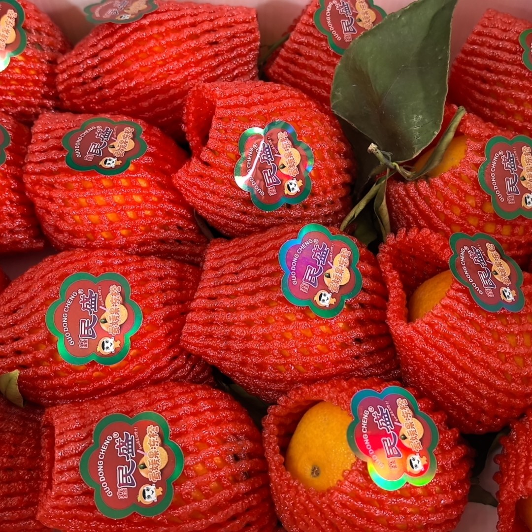 茶桔四川会理突尼斯软籽石榴新鲜采摘水果5斤整箱纯甜爆汁颗粒饱满