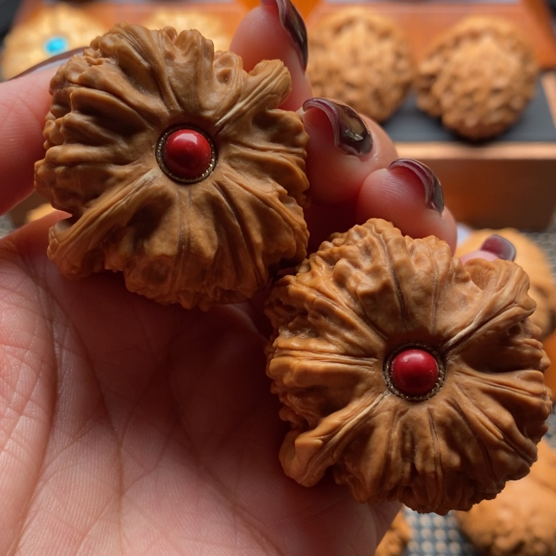 文玩核桃把件43尺寸白狮子