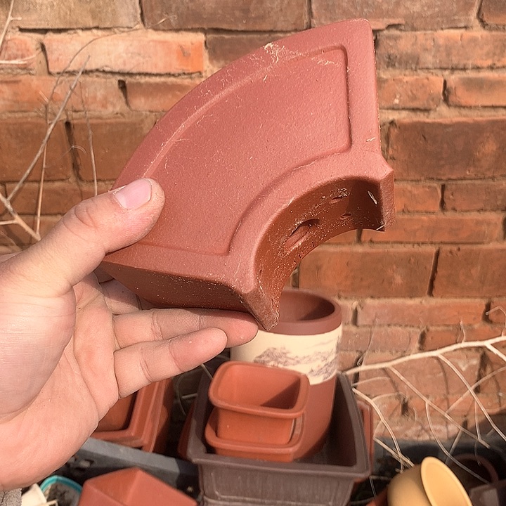 紫砂没有那么喜欢这个样子