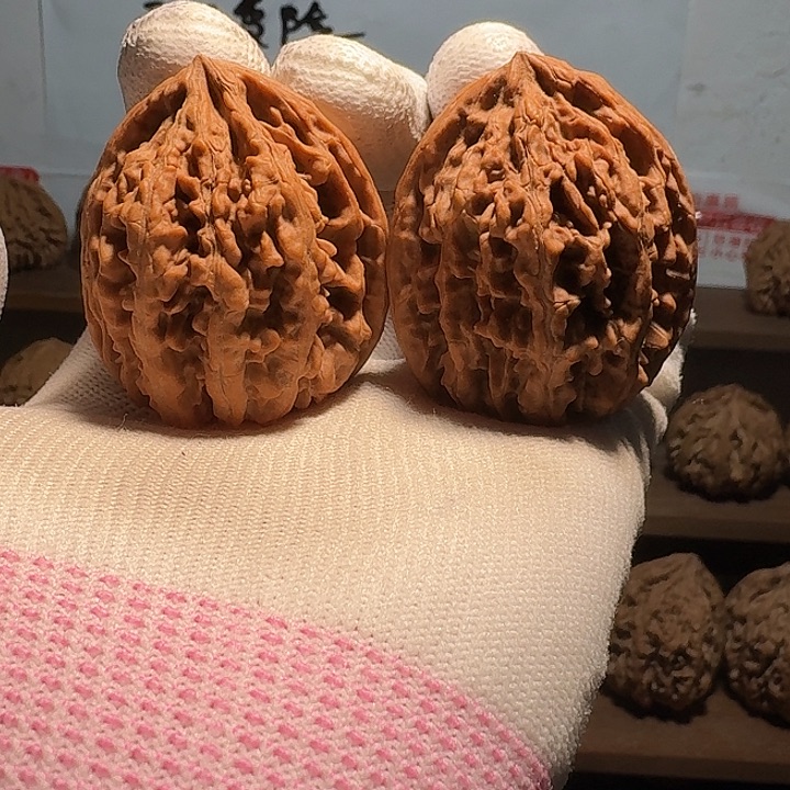 奇***果秦岭野生无名鸡心