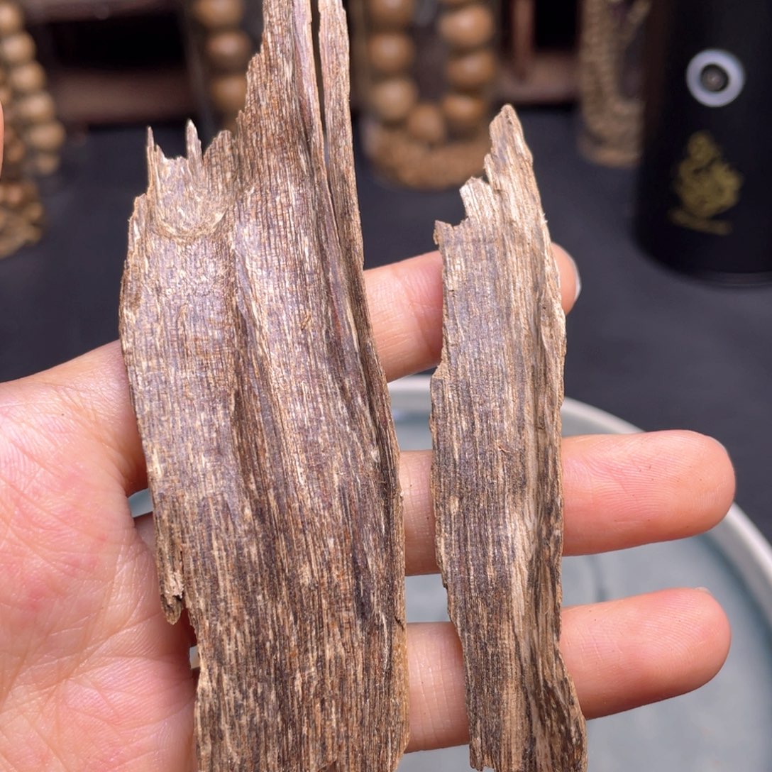 香榧木5克海南定安黑油虫漏