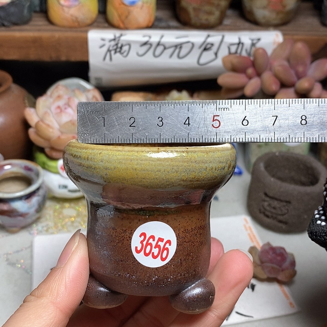 红陶拍5送一个小