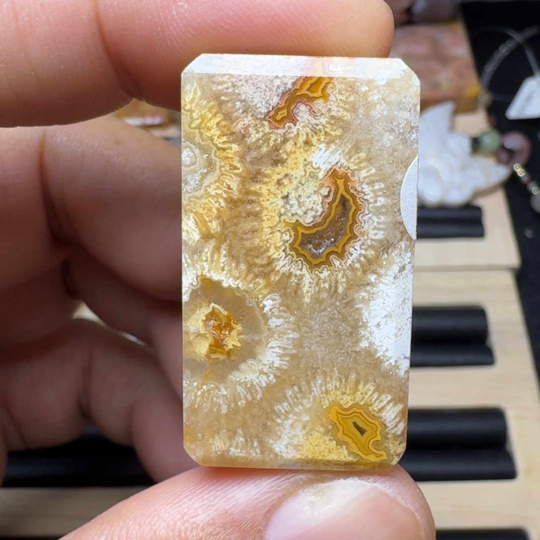 未镶嵌纯天然色有机玉石保真色硅化玉