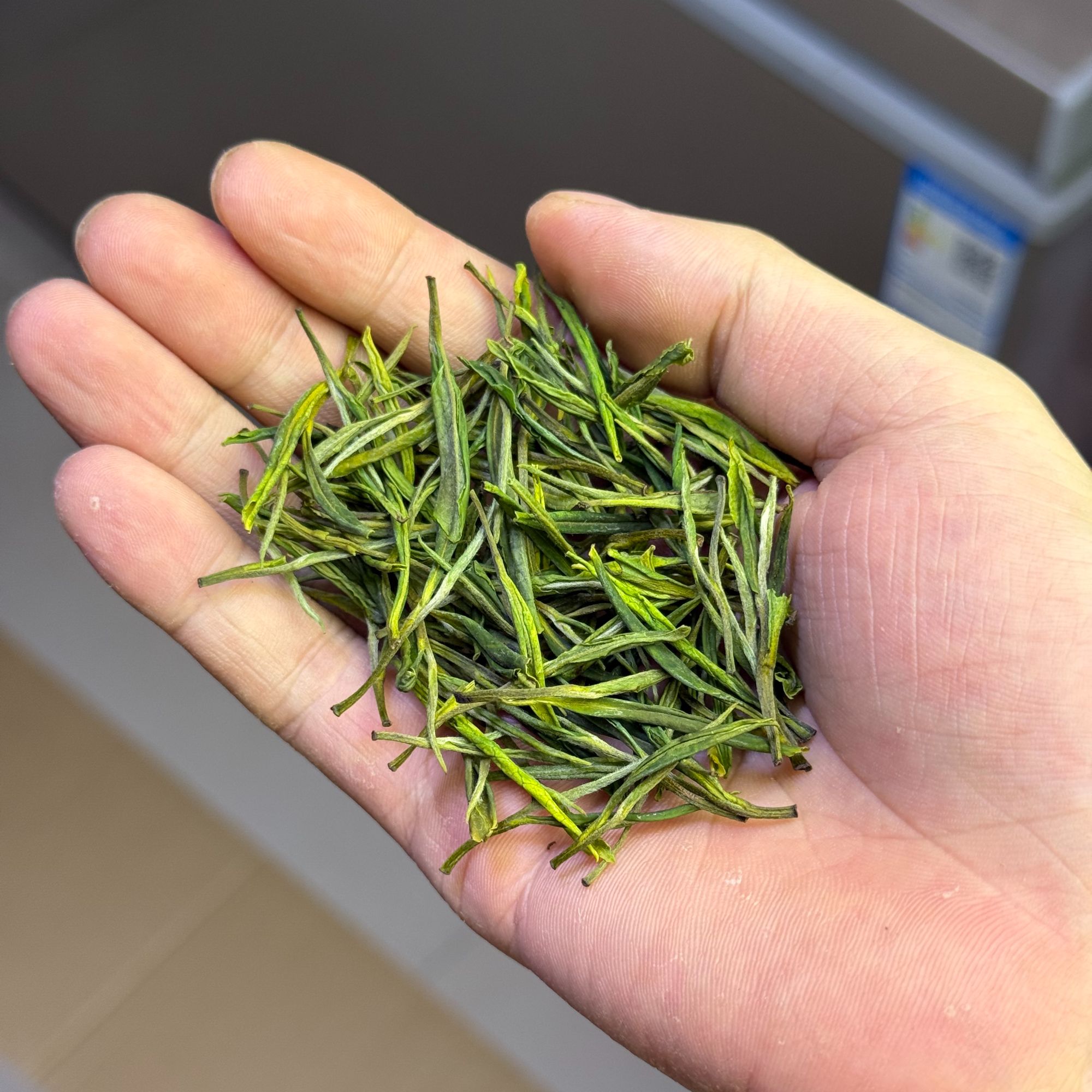 【兰花香白茶】2025春茶 口粮绿茶 鲜甜清爽
