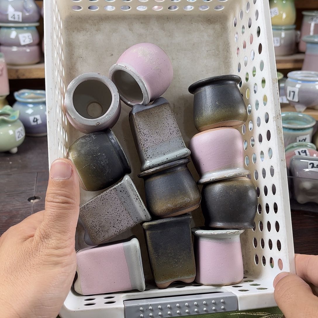 红陶量货/口高深浅搭配发12微瑕