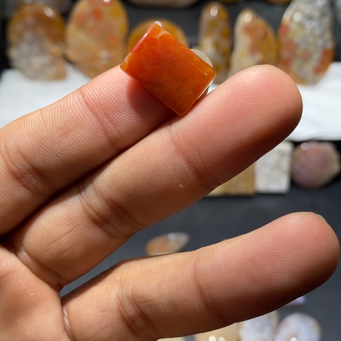 【闪购商品】硅化玉颈饰未镶嵌