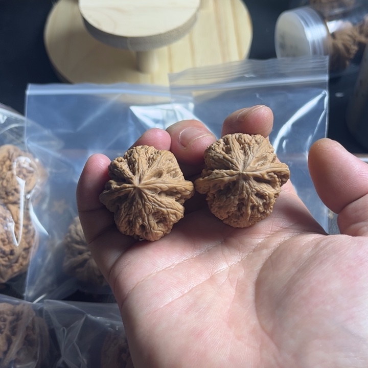 桃核吊坠全品大粗筋