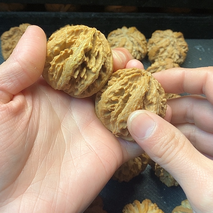 我是一只小小鸟地域鬼