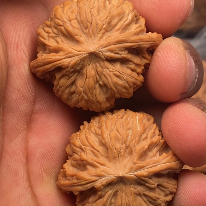 文玩核桃把件磨盘41