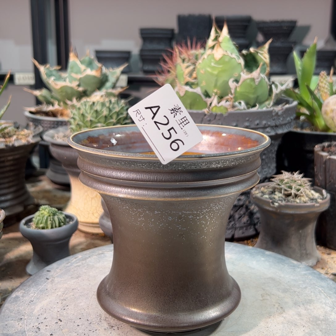 景德镇手工素里内面14.5高14