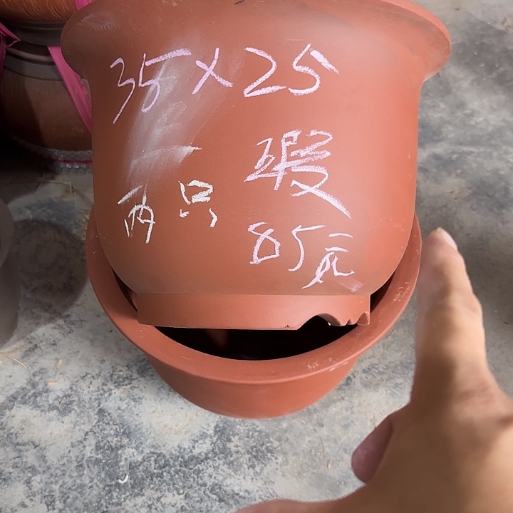用***猫微瑕两只35×25    