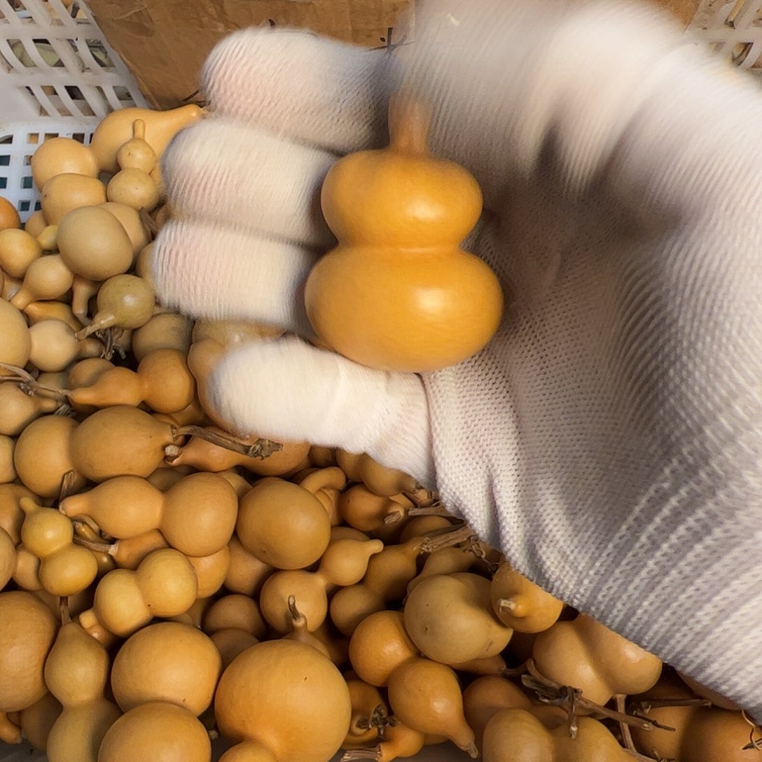 X***Y葫芦是不是要在我心里有什么东西呢、