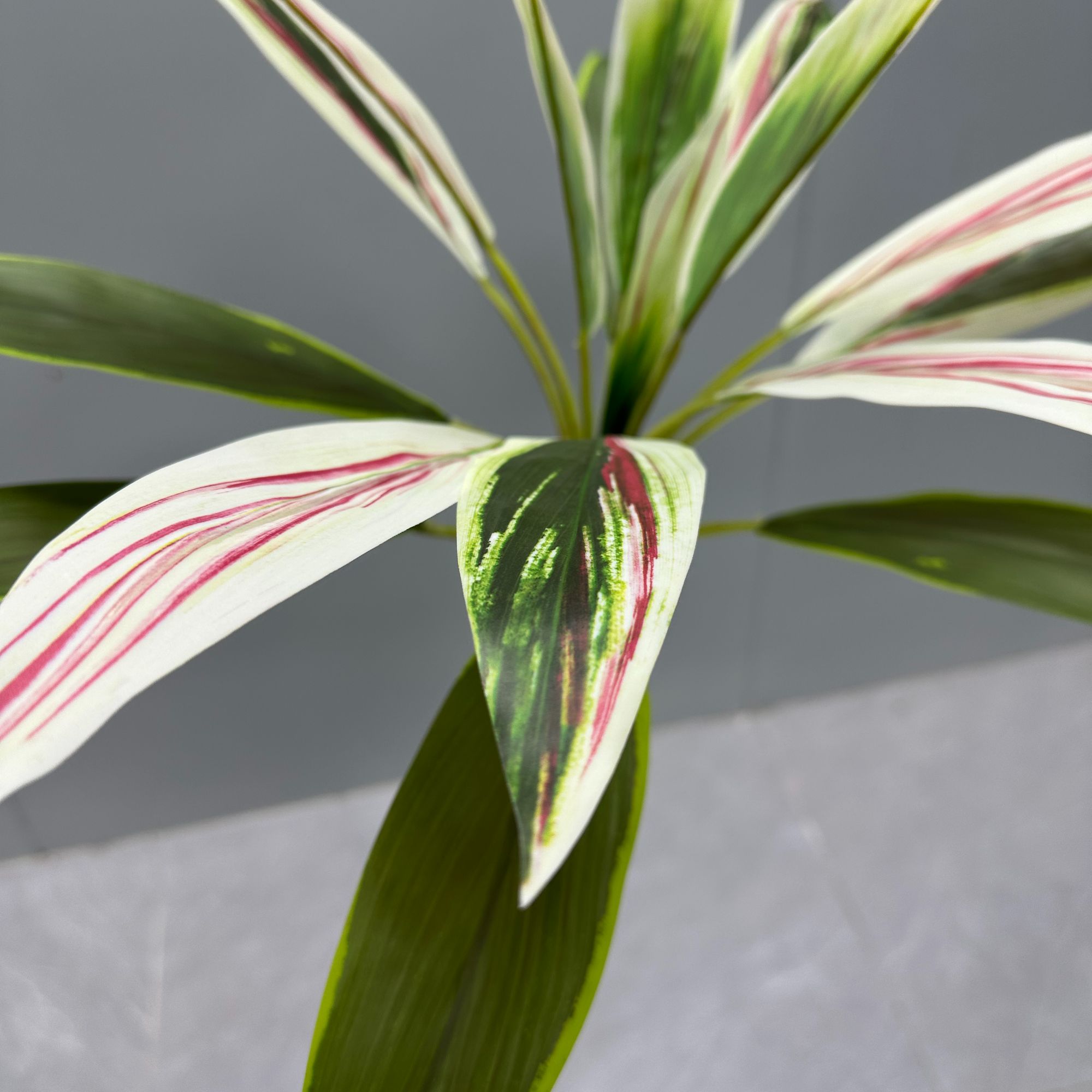 朱焦叶仿真绿植室内外绿色高端装饰摆件三枝