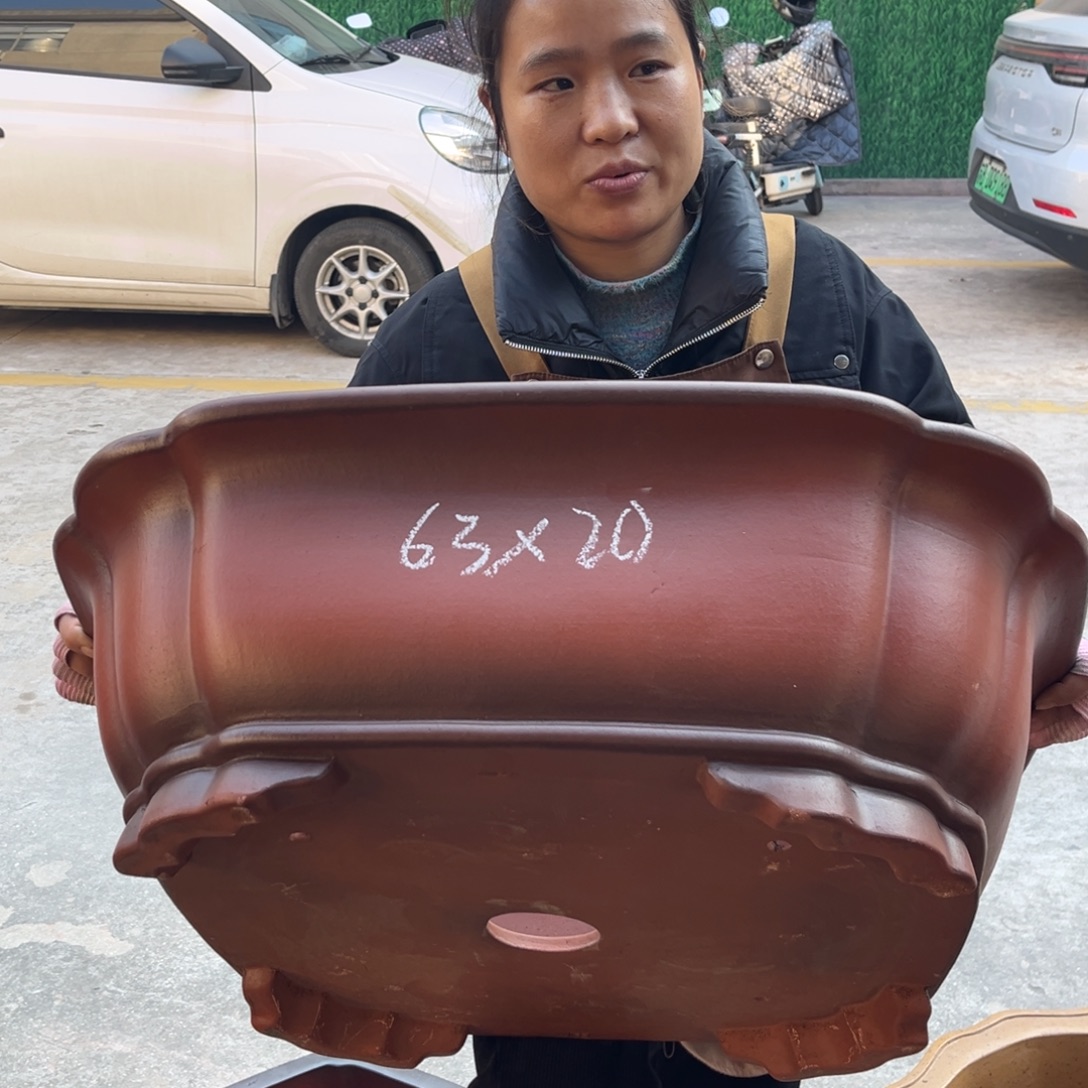 紫砂花盆盆景艺术