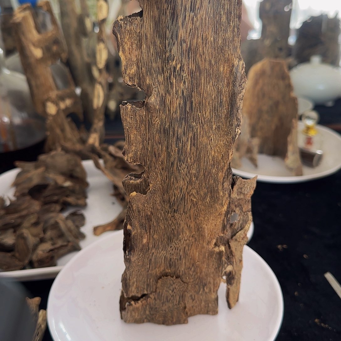 s***啦沉香沉香碎屑精品蓝宝石高油树心虫漏138.8克