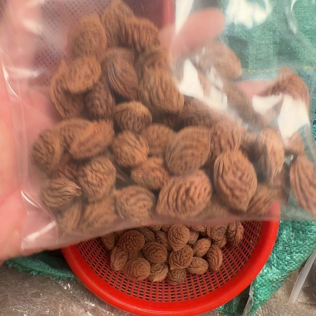精品高端荔枝纹40颗加10颗