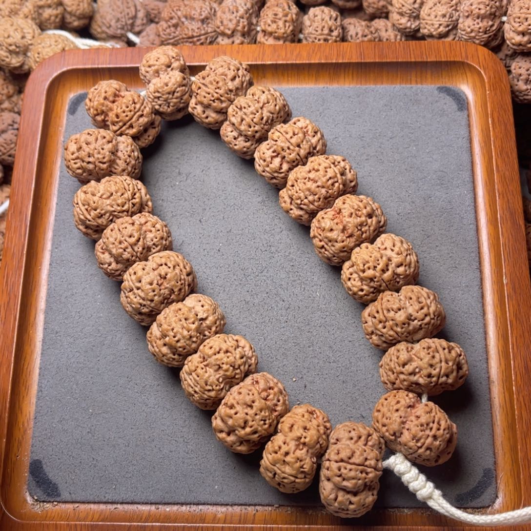 真***雪菩提籽类25号金刚菩提花王夹板手持27