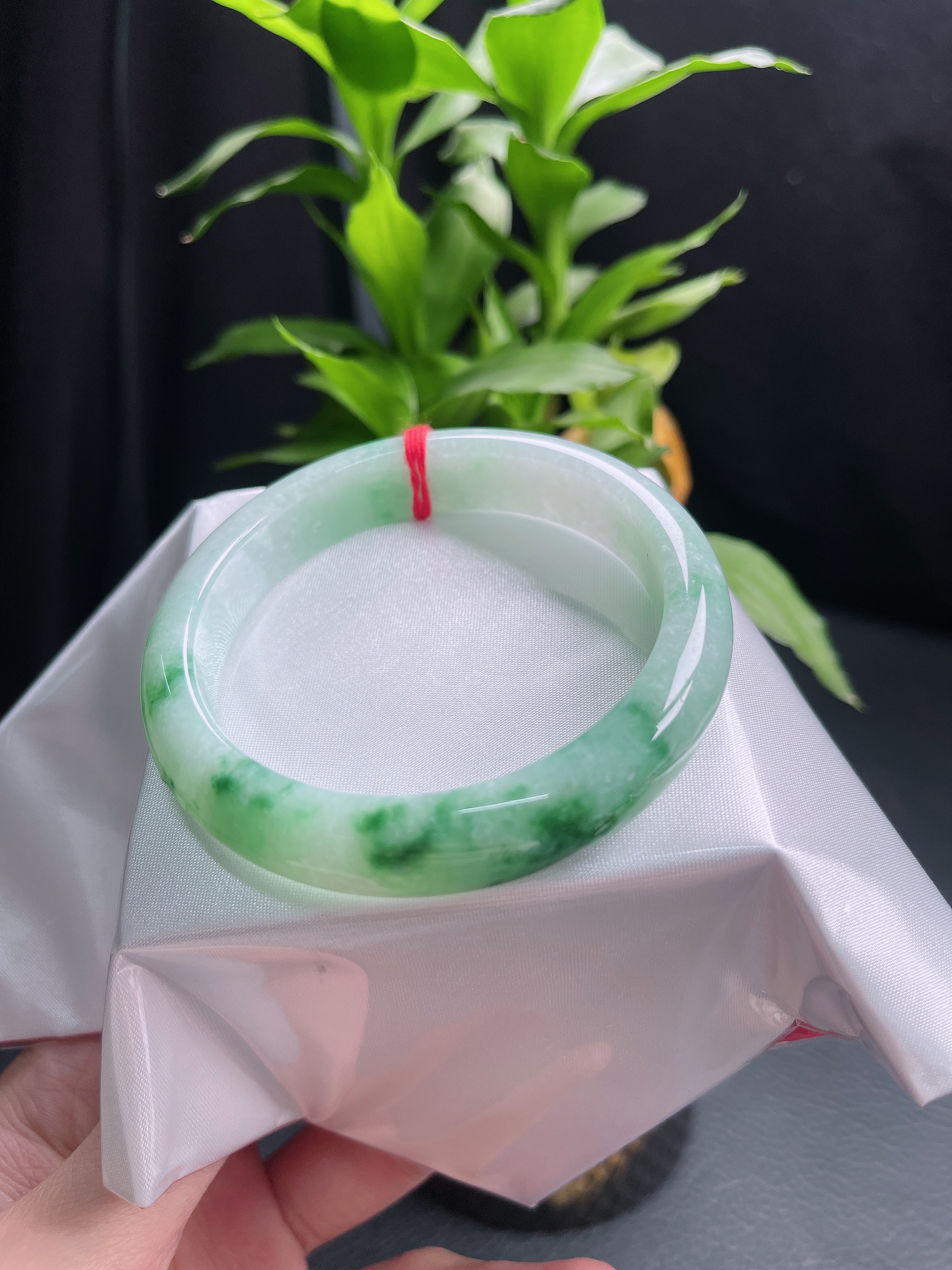 59圈口飘绿宽边手镯742