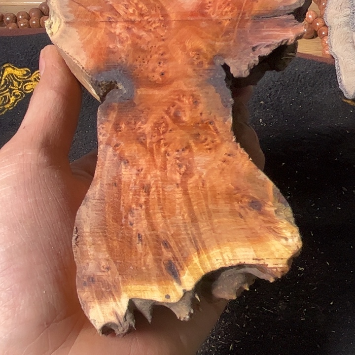 步***甲香榧木我们的确是一个人的