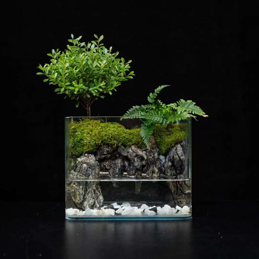山隐-20方缸真实绿植造景创意景观组合鱼缸可养鱼