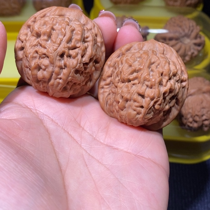 莲花42尺寸的莲花莲花